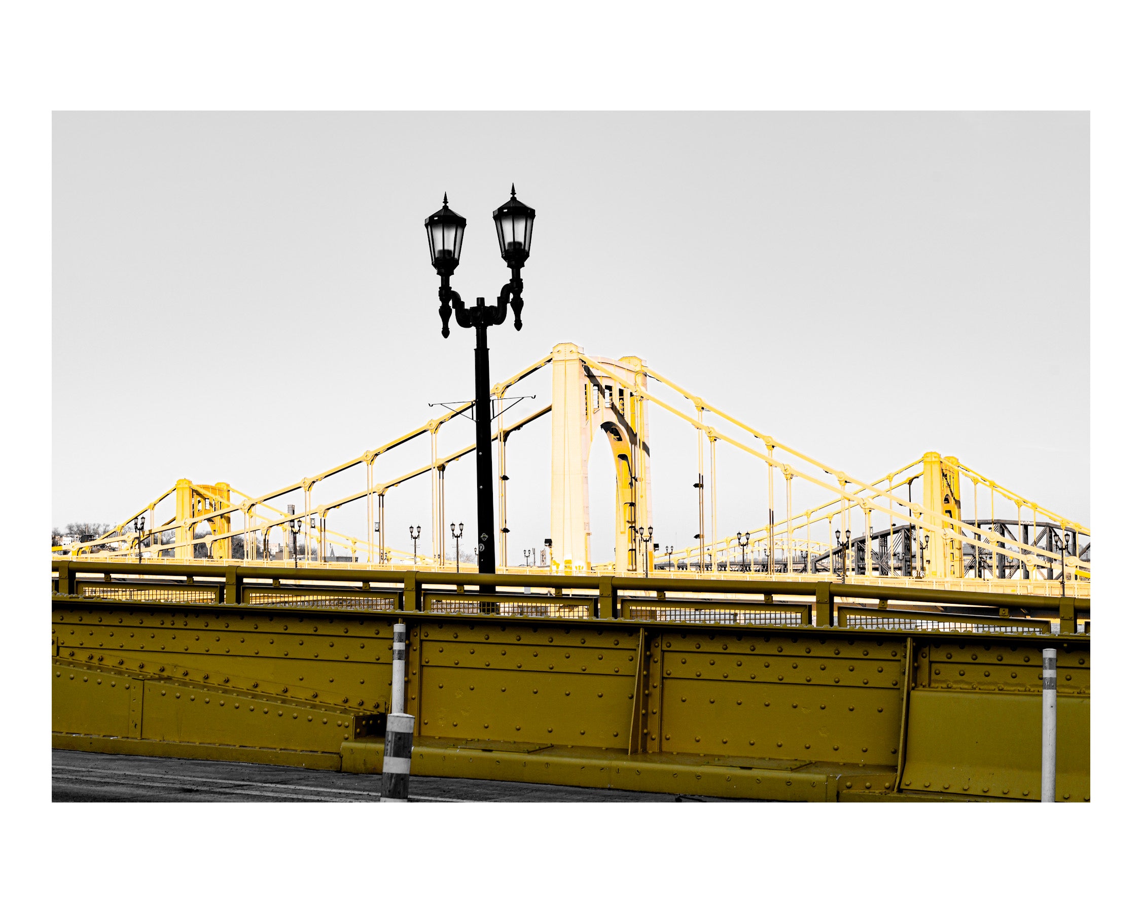 Pitt Yellow