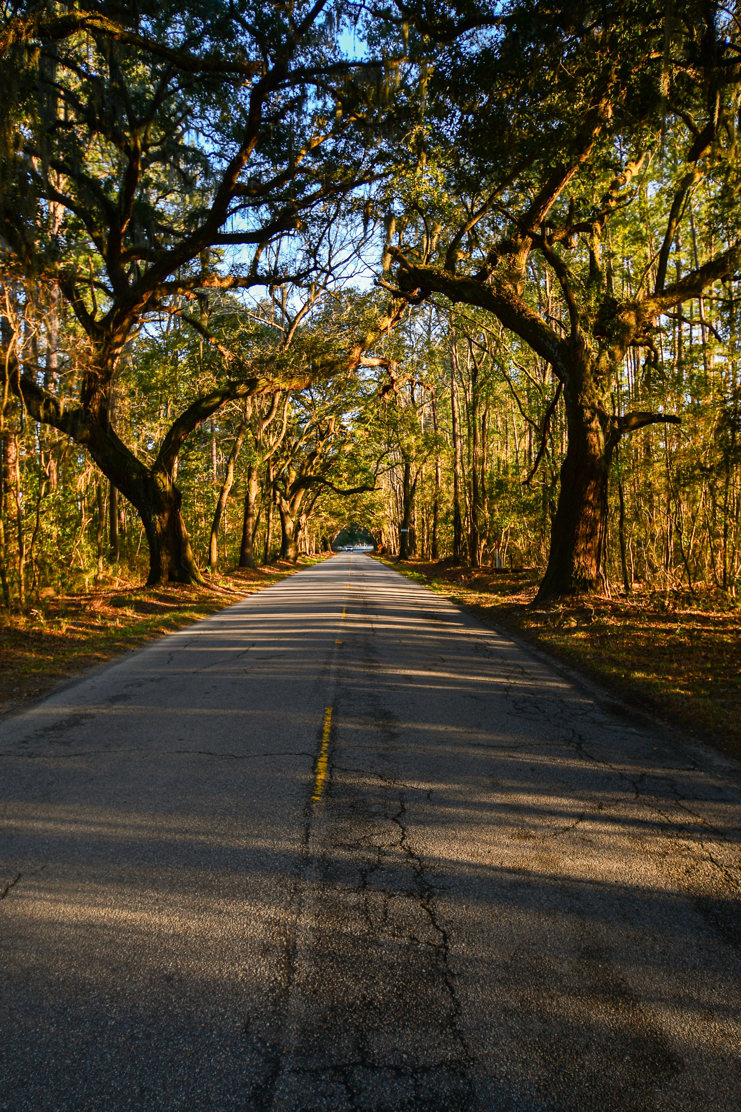 Long Road