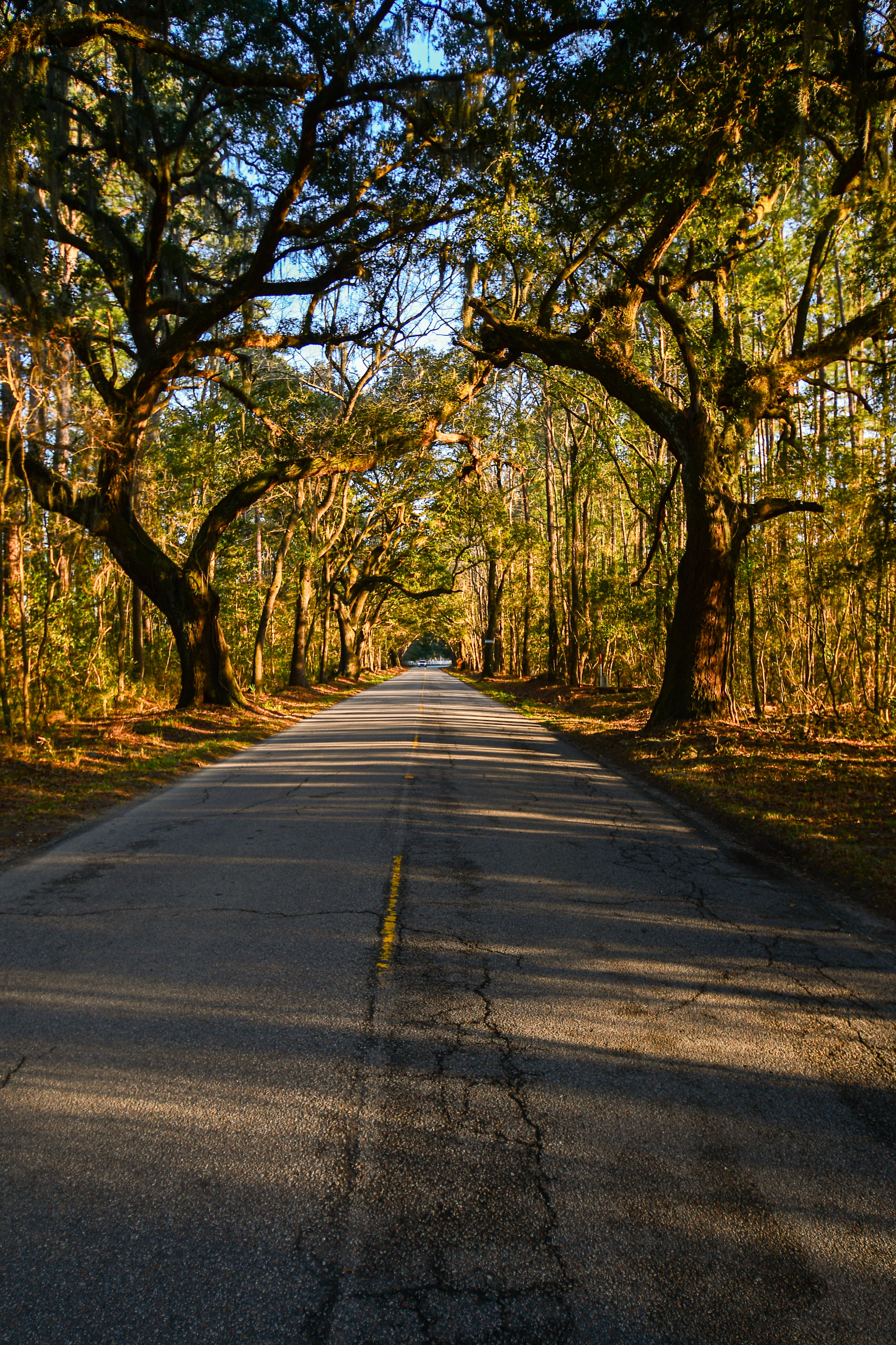Long Road