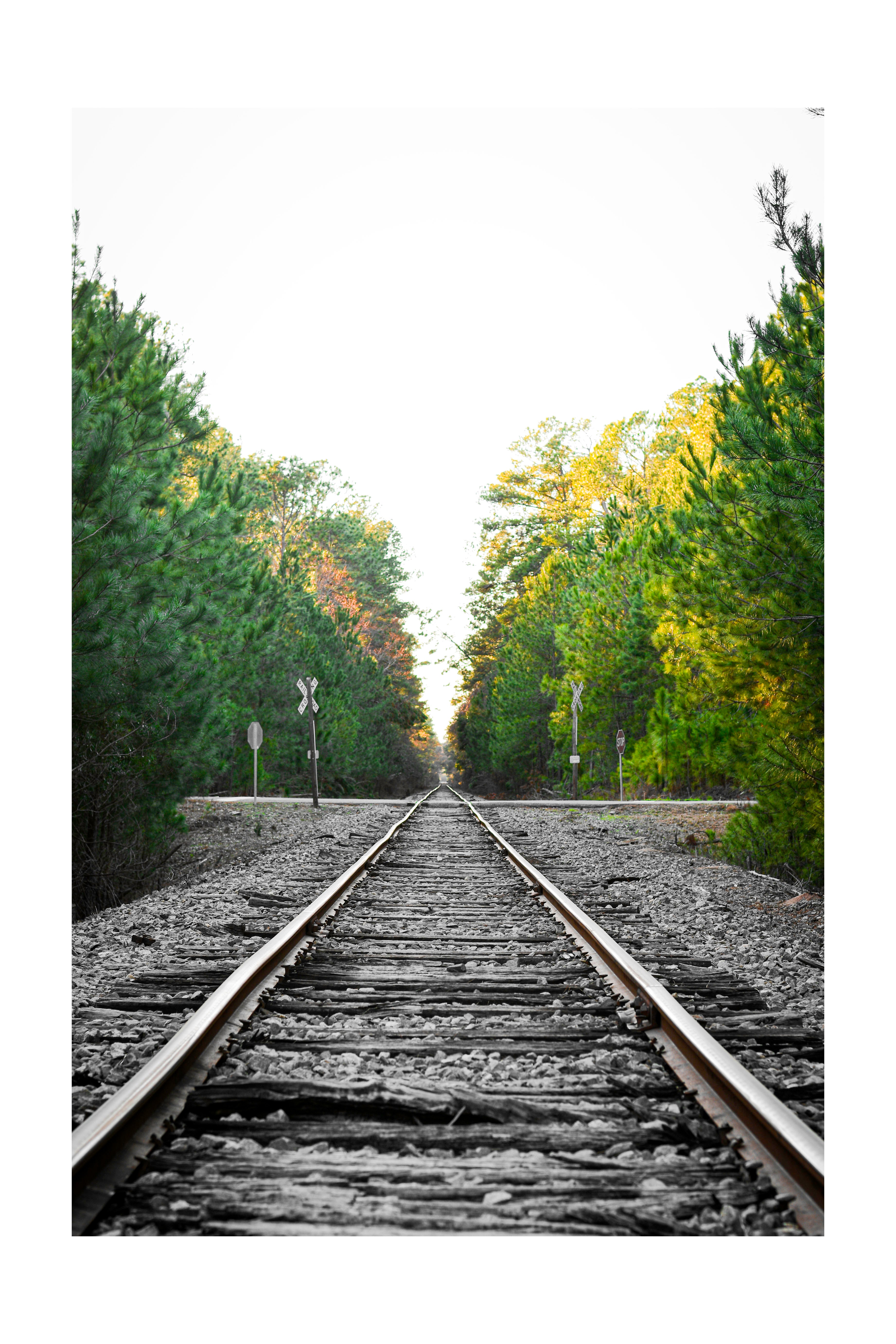 Doing Rails
