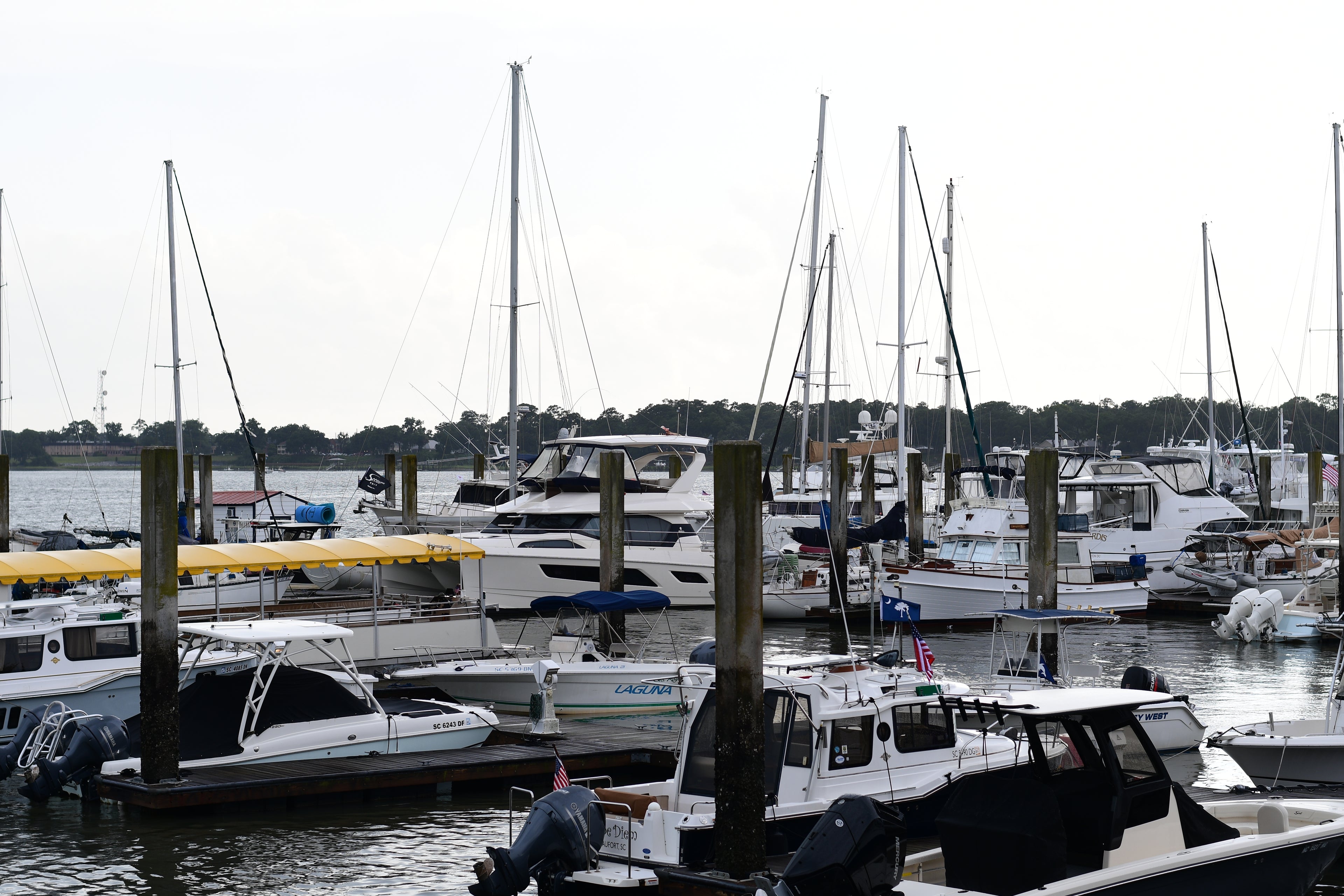 Dangerous Harbor